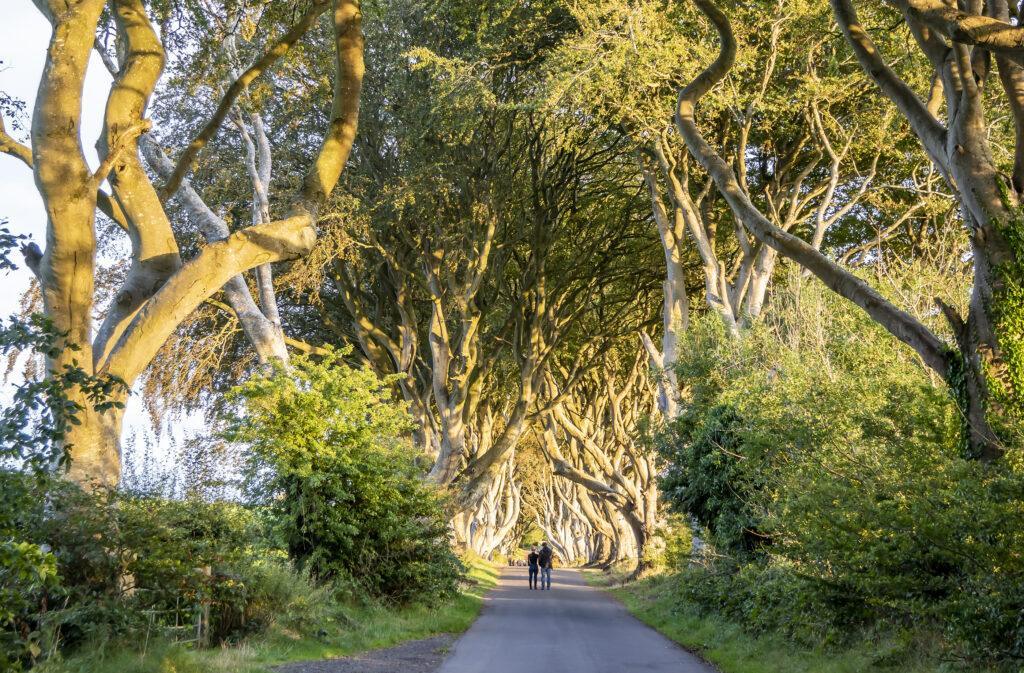 Film tourism vacation rental Dark Hedges Northern Ireland